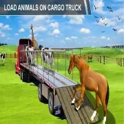 Animal Cargo Transporter...