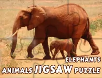 Animals Jigsaw Puzzle El...