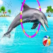 Dolphin Water Stunts Sho...