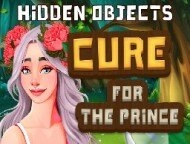 Hidden Objects Cure For ...
