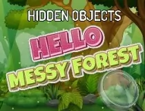 Hidden Objects Hello Mes...