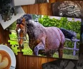 Jigsaw Puzzle Horses Edi...