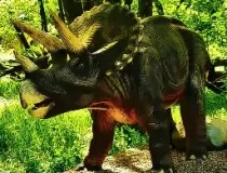 Triceratops Dinosaur Puz...